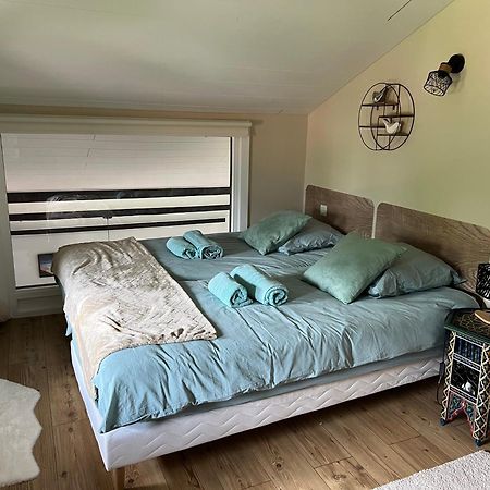 Duplex 3 Chambres Vue Mont-Blanc Domancy Buitenkant foto