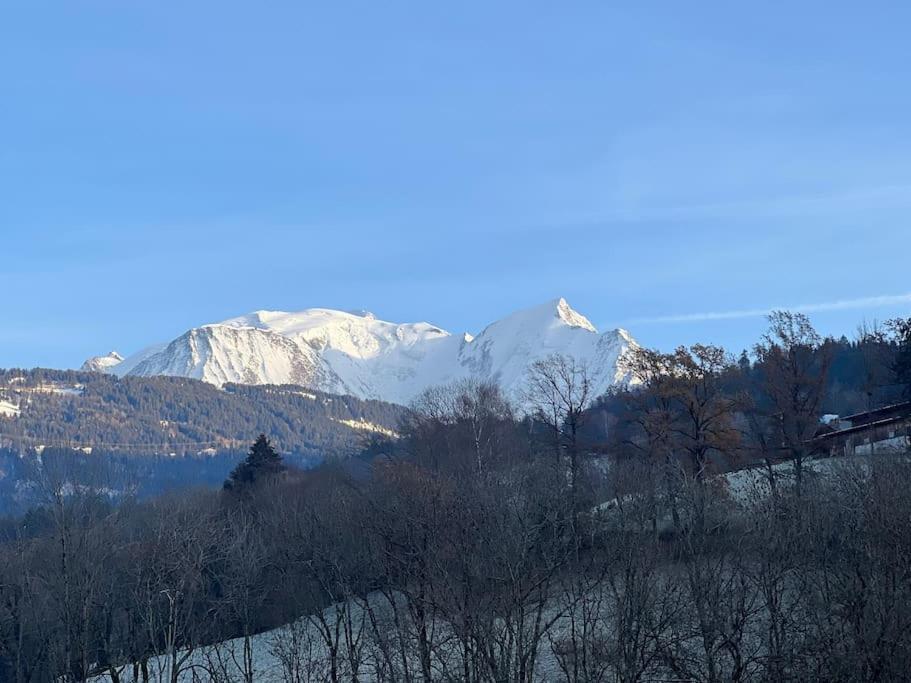 Duplex 3 Chambres Vue Mont-Blanc Domancy Buitenkant foto
