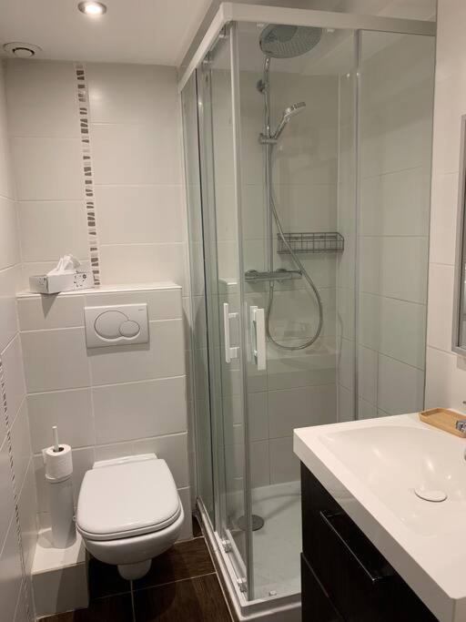 Duplex 3 Chambres Vue Mont-Blanc Domancy Buitenkant foto