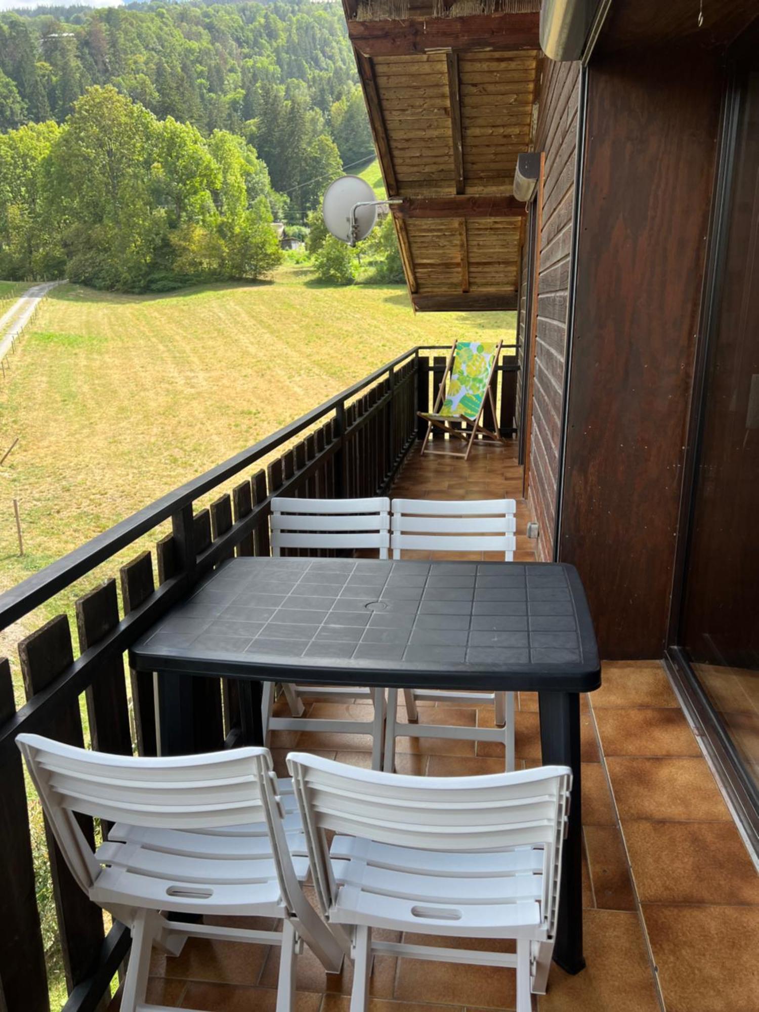Duplex 3 Chambres Vue Mont-Blanc Domancy Buitenkant foto